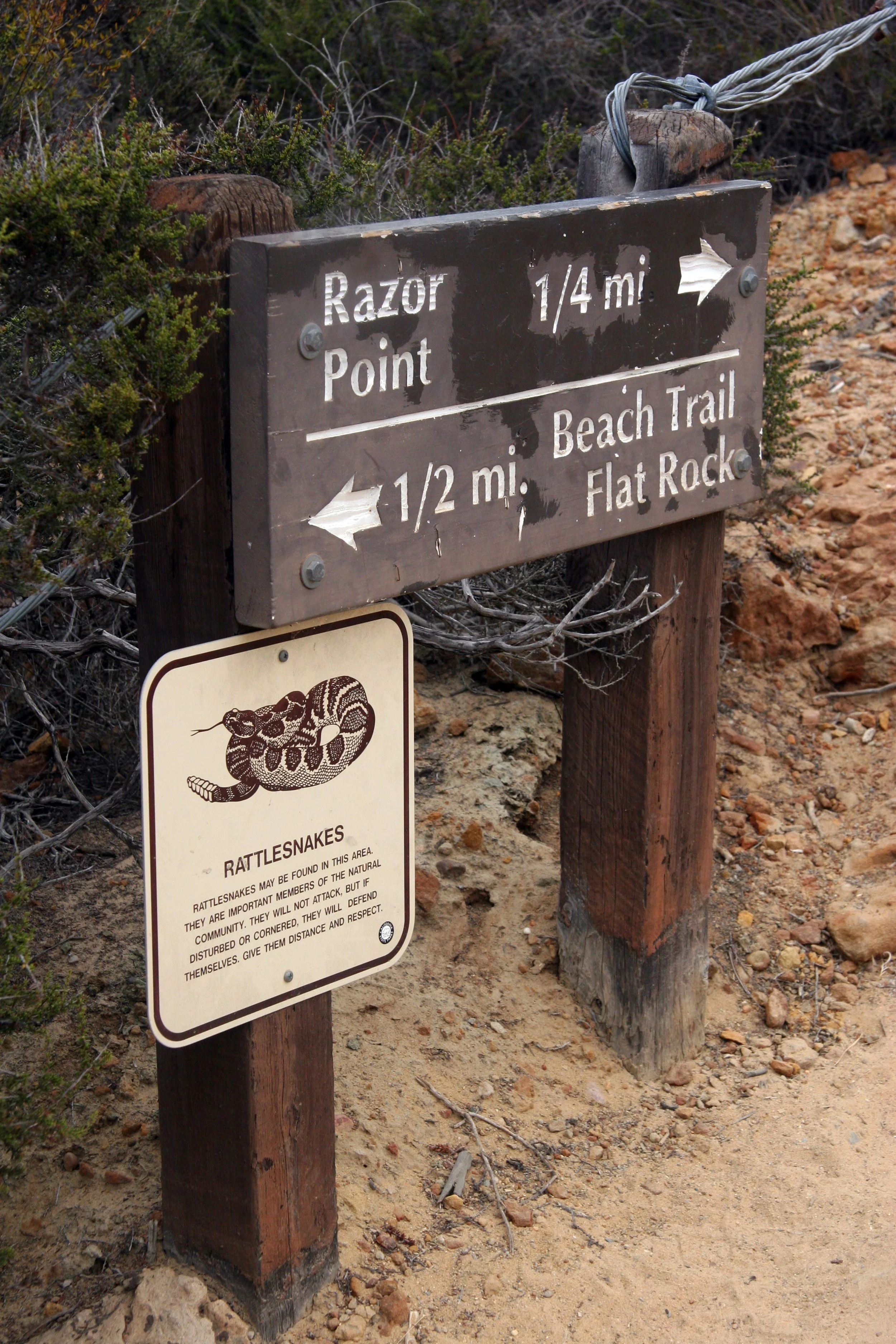 Torrey Pines State Reserve