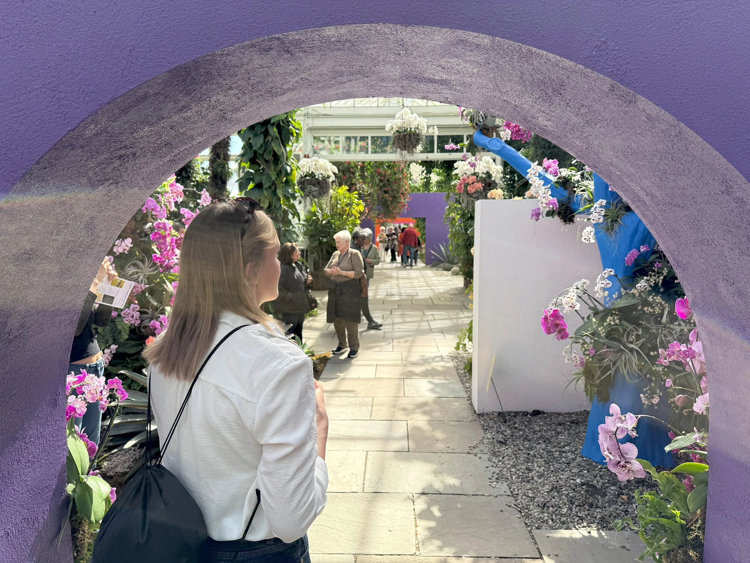 Orchid Show at the New York Botanical Gardens