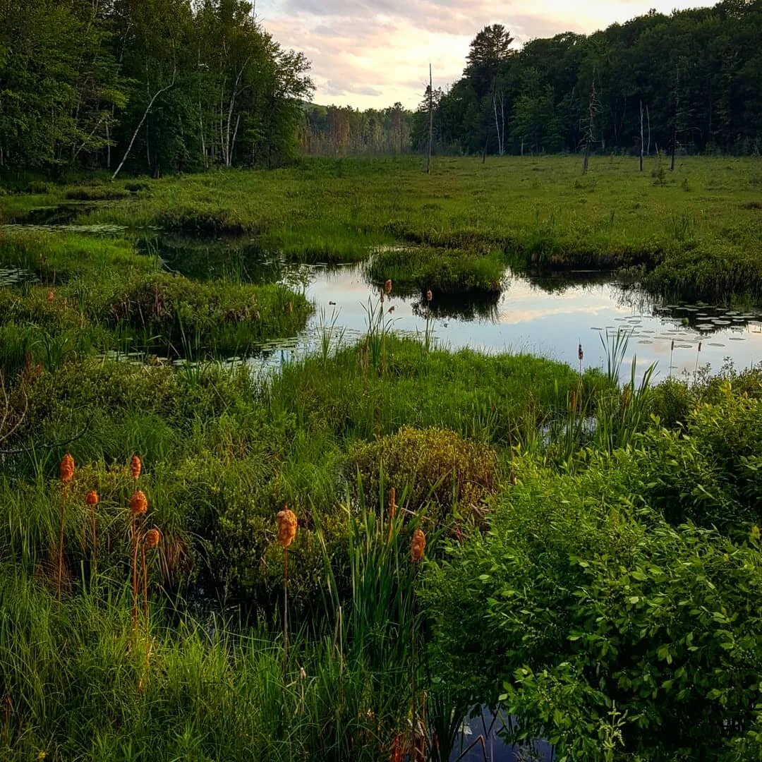 What is Sustainability?