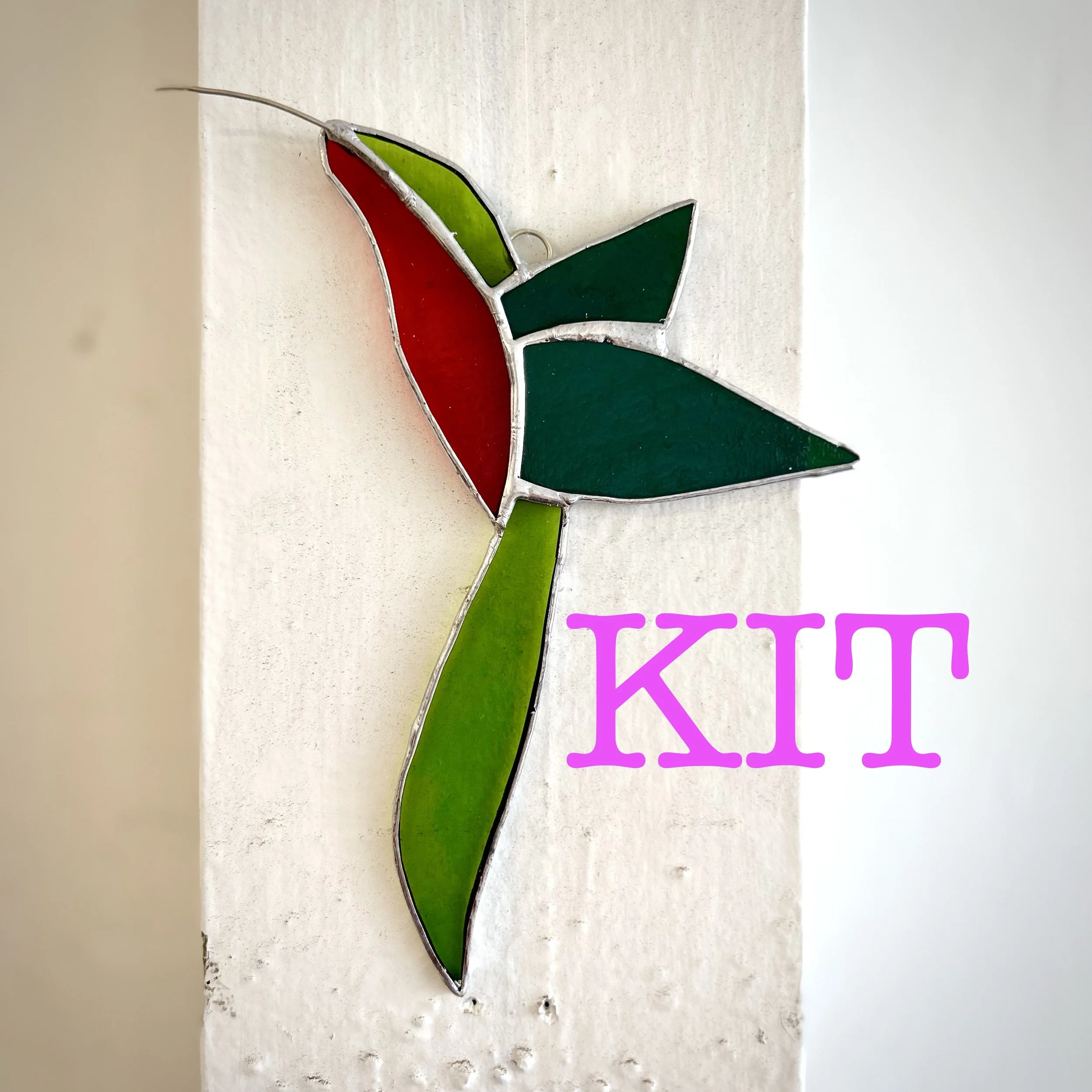 KIT - Red Belly Hummingbird