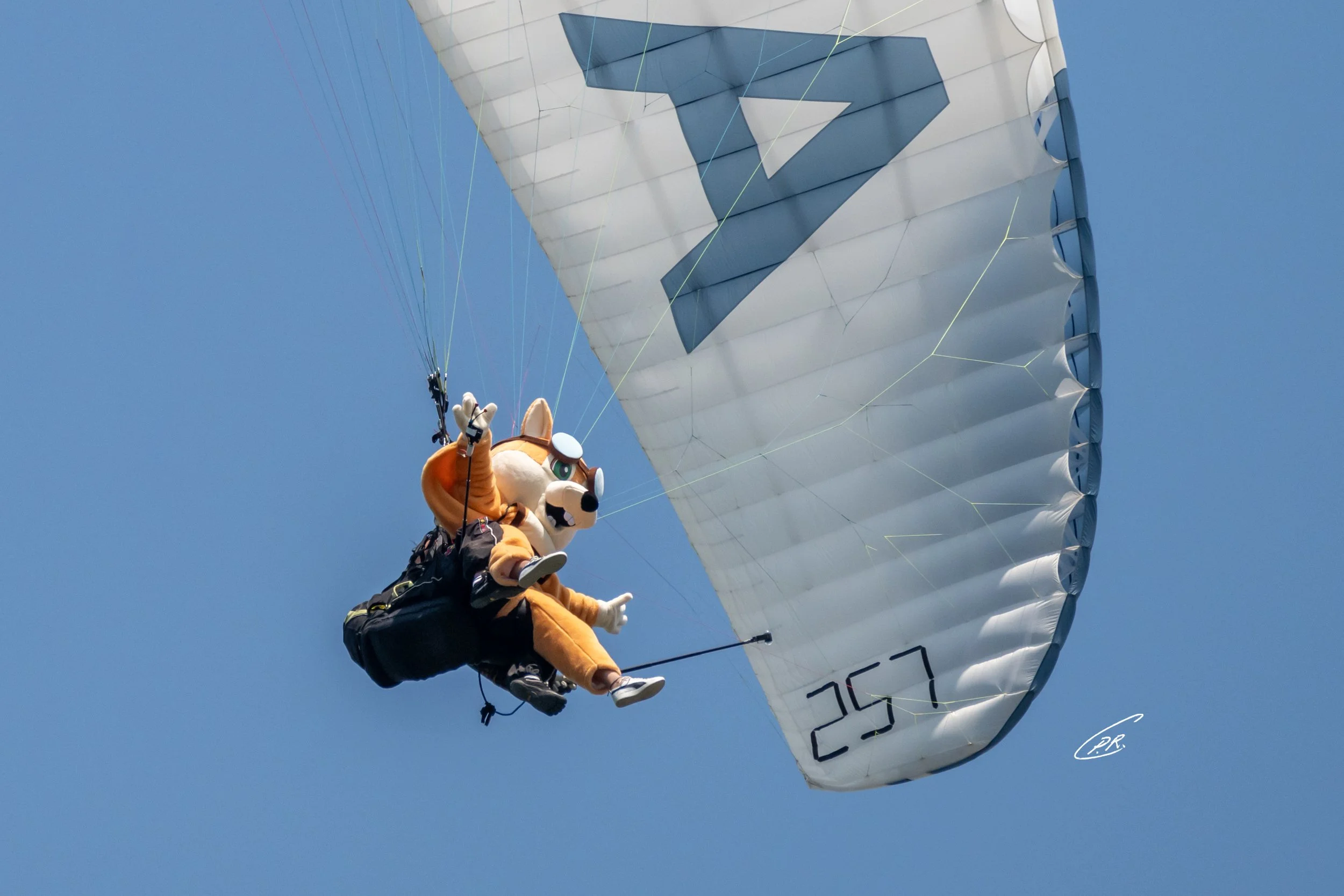 Z8A_5101.jpg