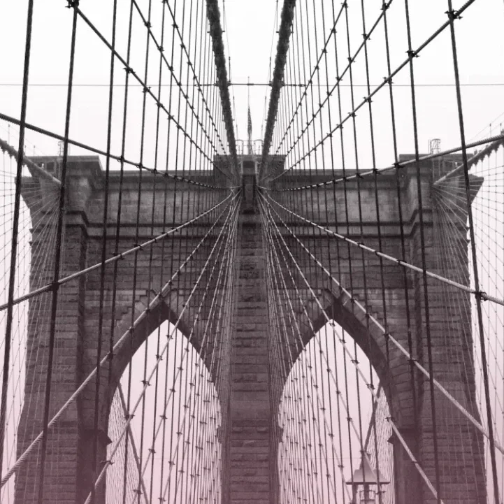 SCO with Osborne, Akugbo &amp; Emelyanychev (Shostakovich &amp; Dvořák)