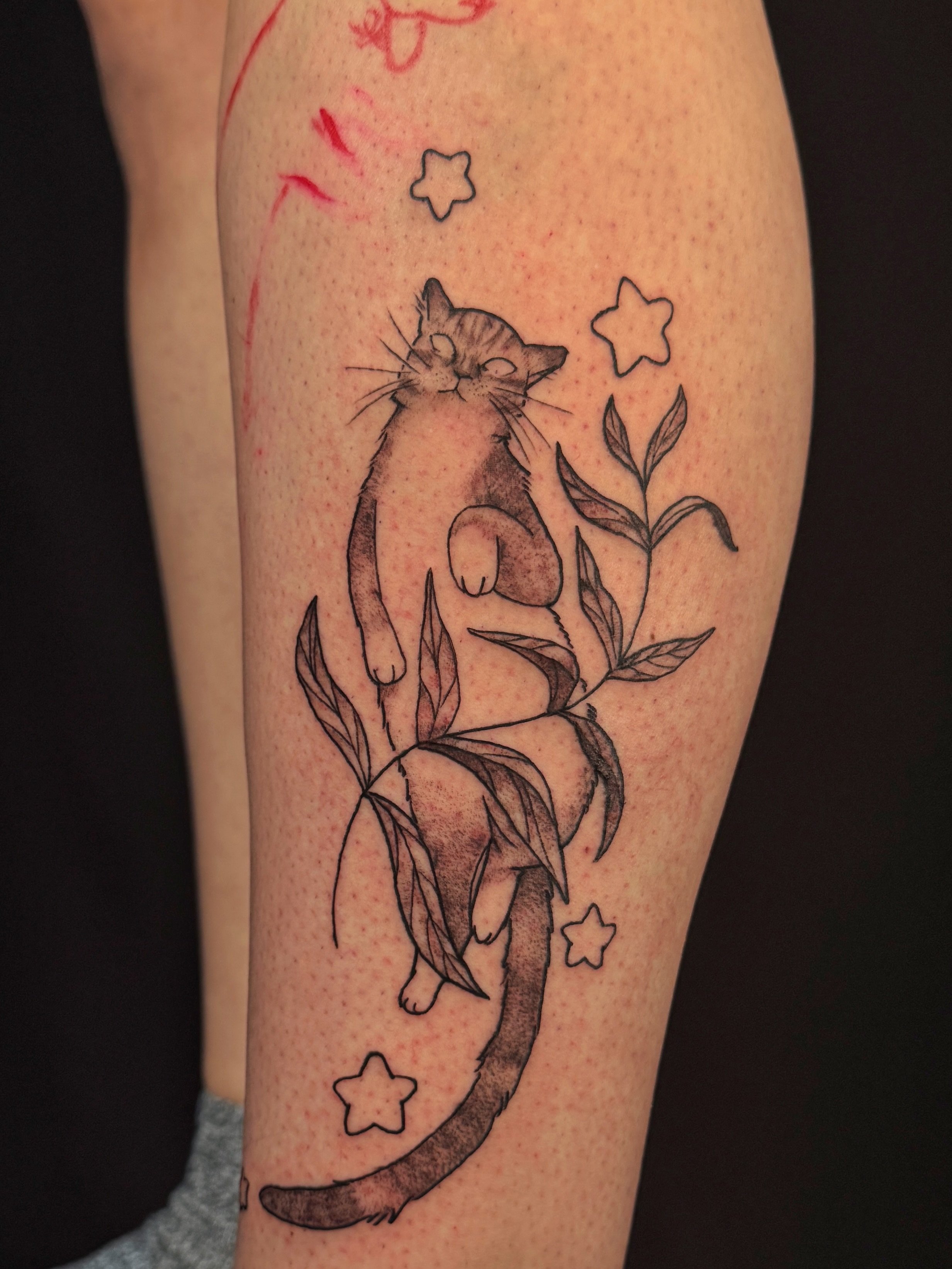 Alana&rsquo;s cat Alpha on a very demure pose 💅(and a little sketch of her dog on the top!) this was so peaceful to make! 🥰❤️ Thank you Alana ❤️❤️❤️.
.
.
.
.

#oaklandtattooapprentice #bayareatattoo
#tattooapprentice #cattattoo 
#oaklandtattooartis