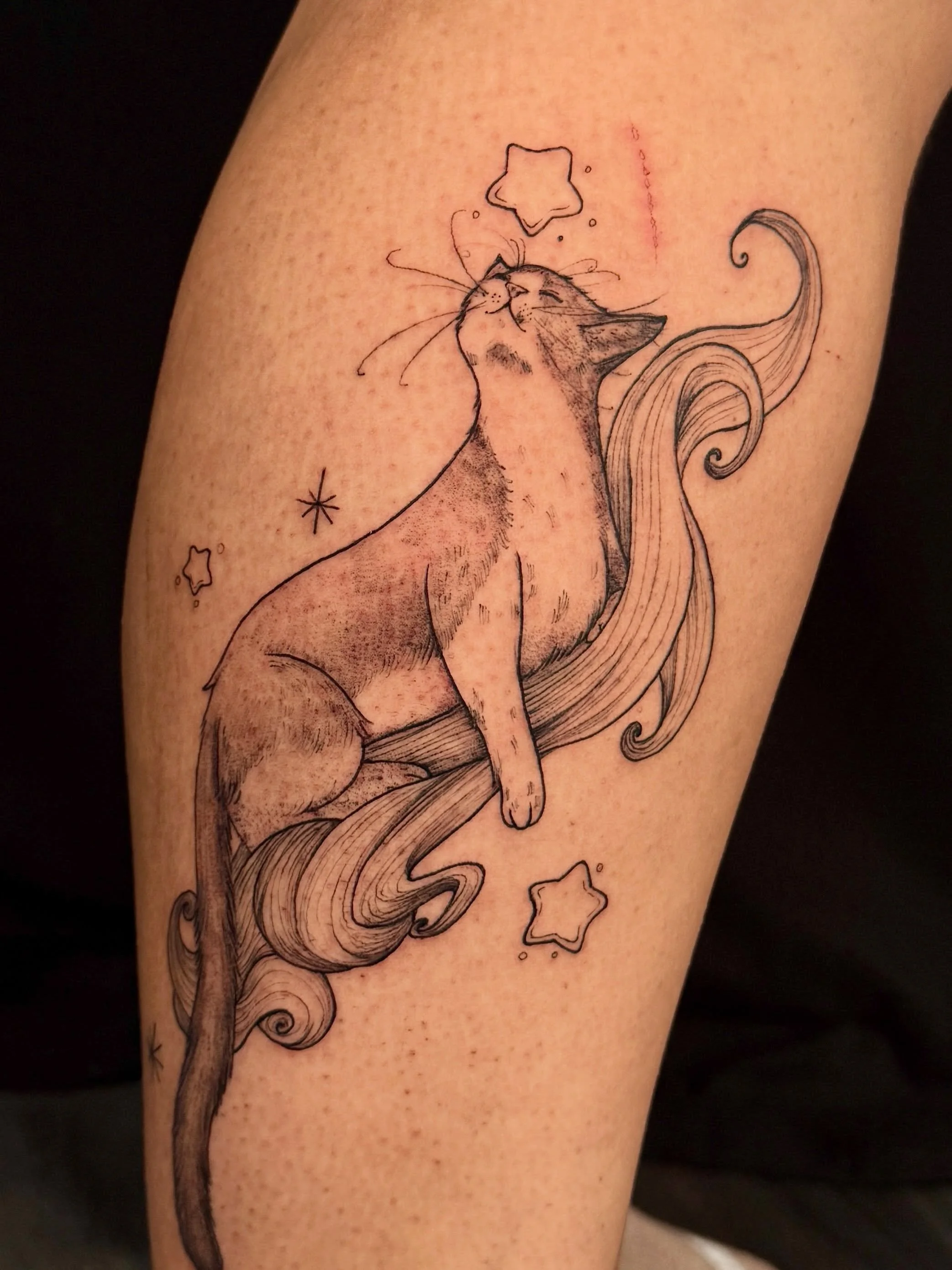 Relaxed cat for @clcudia Thank you so much for letting me do this little guy 🥹❤️ 
.
.
.

#oaklandtattoo
#oaklandtattooapprentice #cattattoo 
#animetattoo #oaklandflashtattoo