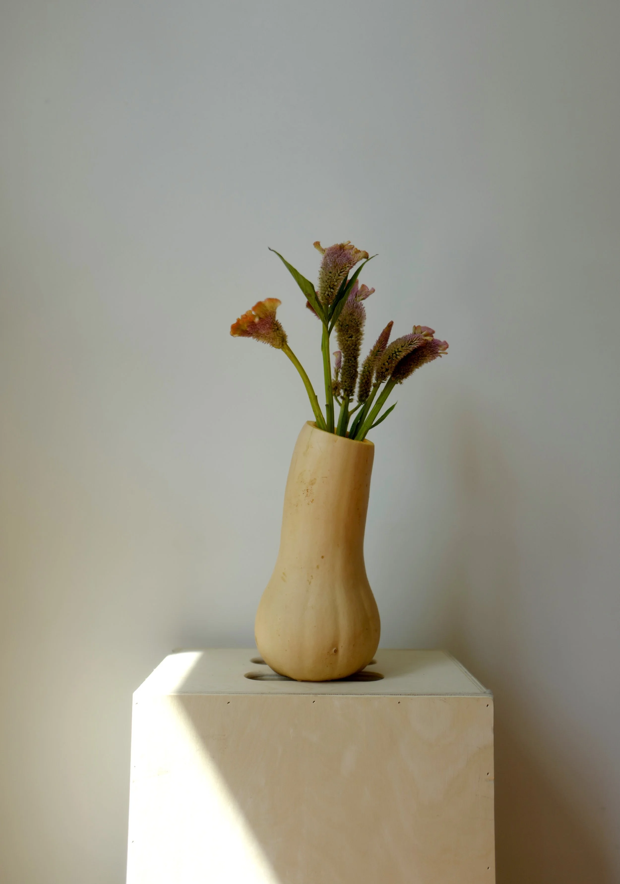 L1250198.jpg