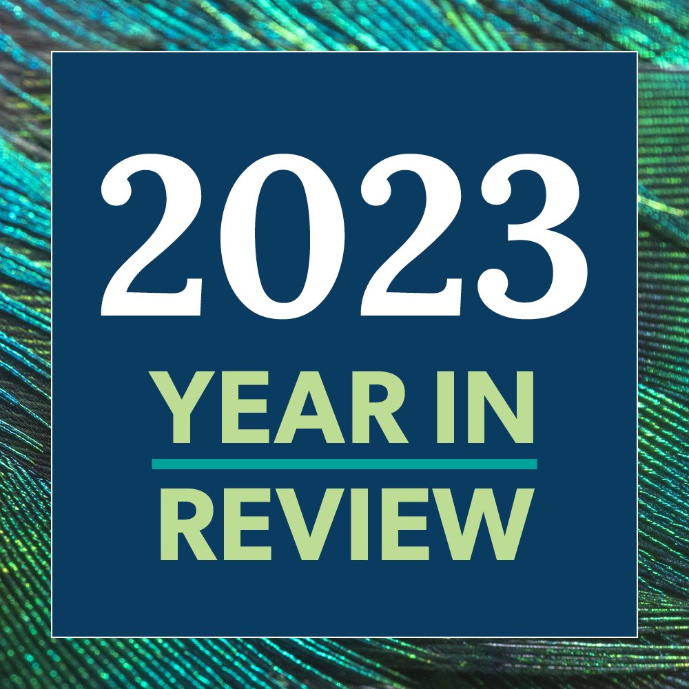 2023 Year in Review