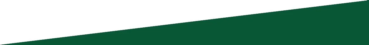 green 1.jpg