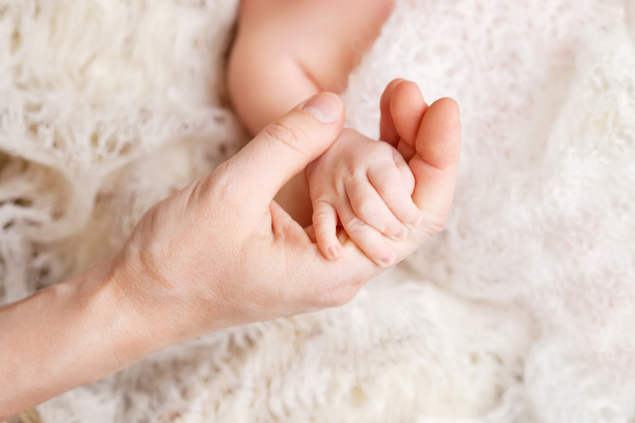       
  
     Pregnant and Locked Up  Words &nbsp;Faith Wilcox   There has been an insurmountable rise of those affected by COVID-19 in recent weeks, from the young to the elderly alike. However, many of these numbers neglect to include a vital part