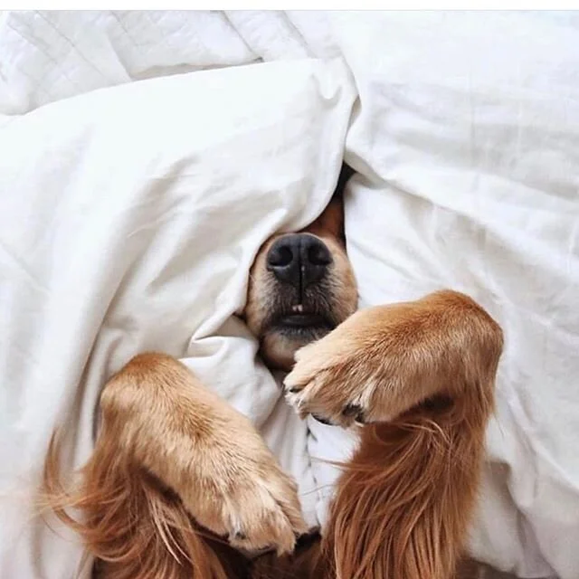 It&rsquo;s the weekend!