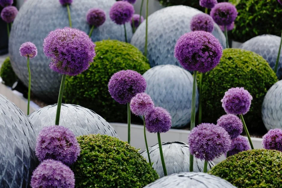       
  
    The RHS Chelsea Flower Show 2022   WOTC Magazine   

   .fe-block-d70fa24d7d1898f4b665 {mix-blend-mode: ;
    } 
     










































  

    
  
     

      

      
         
          
        
        

 