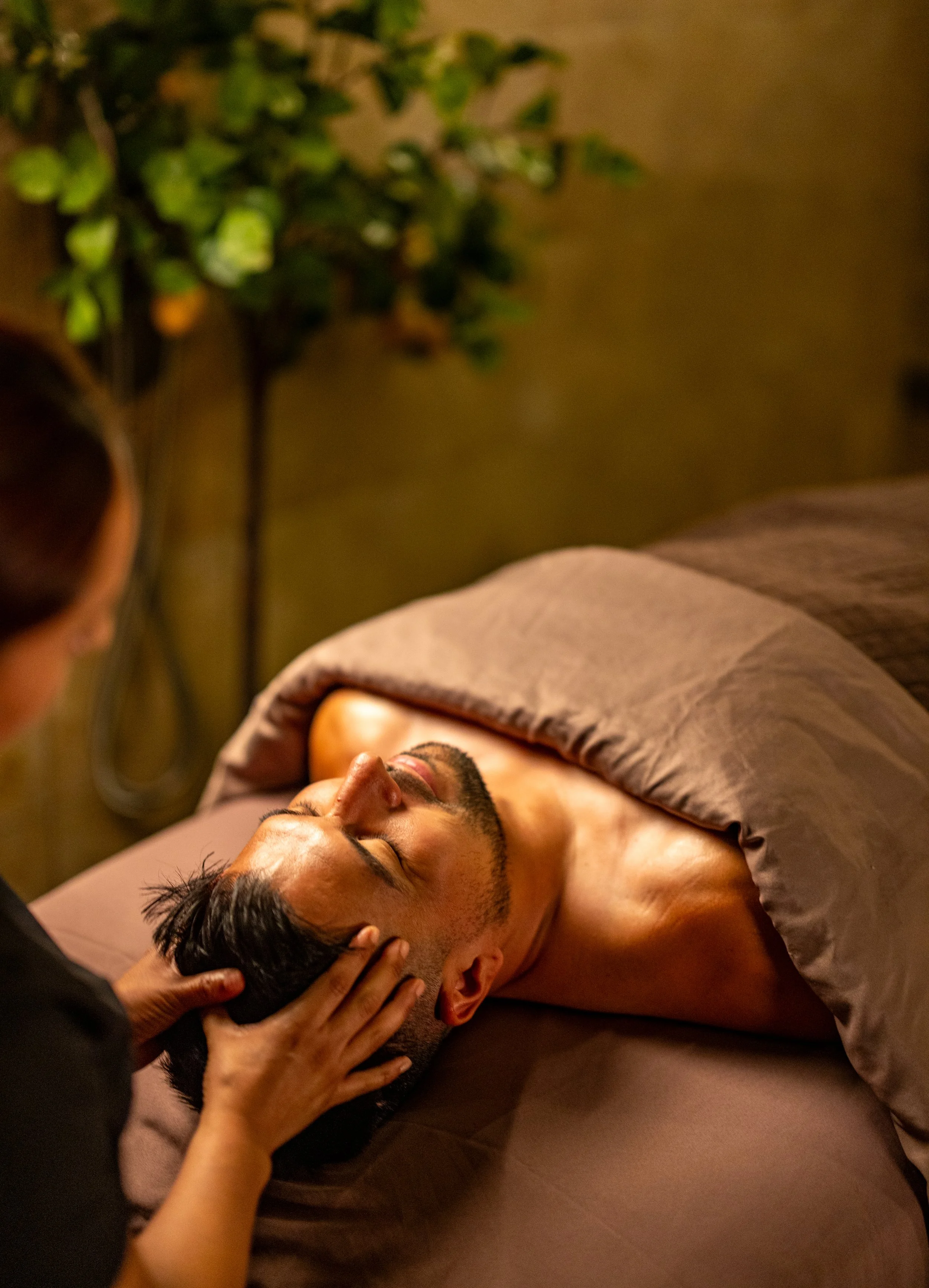 Meritage_Spa-Terra_AT-35.jpg