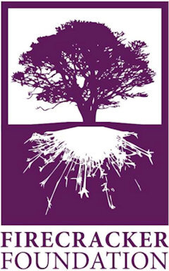 Honoring the bravery of children who have survived sexual trauma by building a community invested in the healing of their whole being. Founded and run by an incredible Woman of Color and serves a diverse community. thefirecrackerfoundation.org