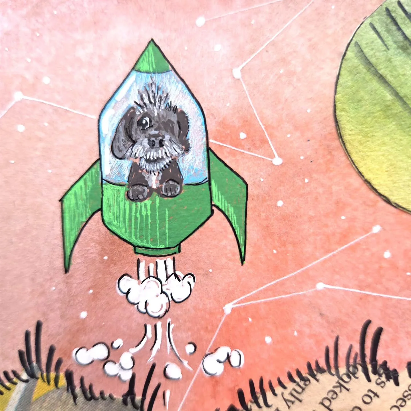 Pets in Space commissions are officially open for delivery before the holidays!⁠
Find the details on my website or DM me to request your art!