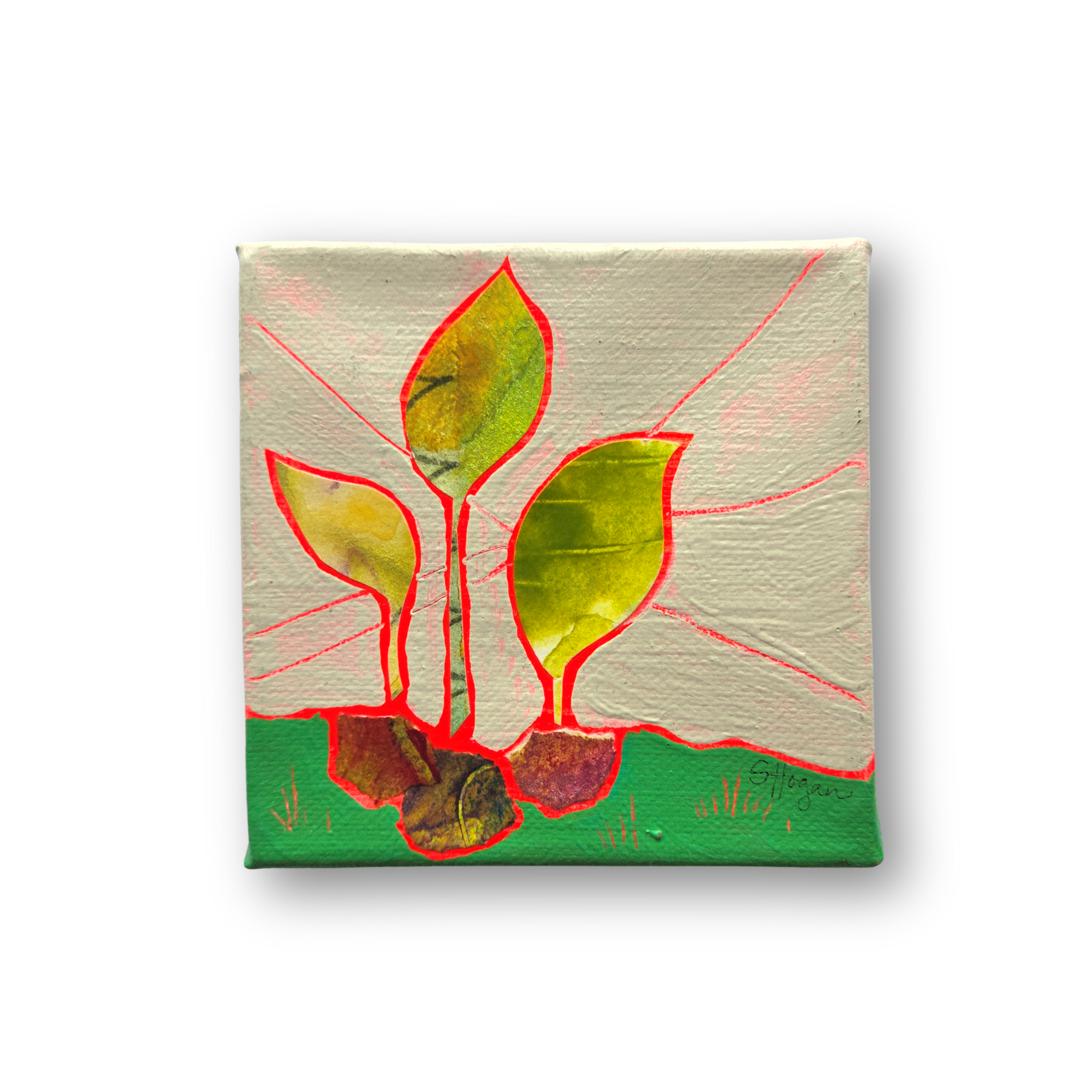 Seedling - 4"x4" Original art