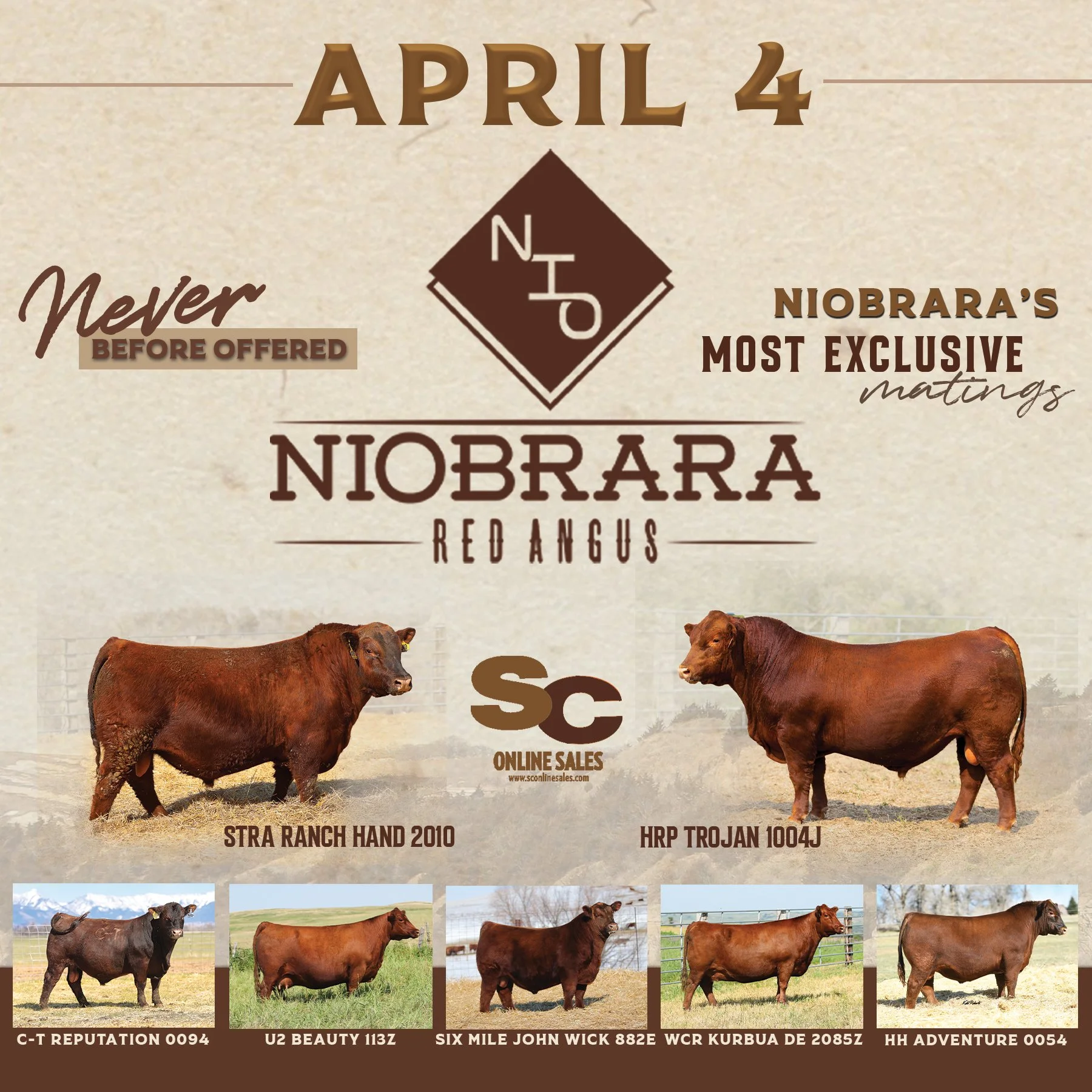 Sales — Niobrara Red Angus