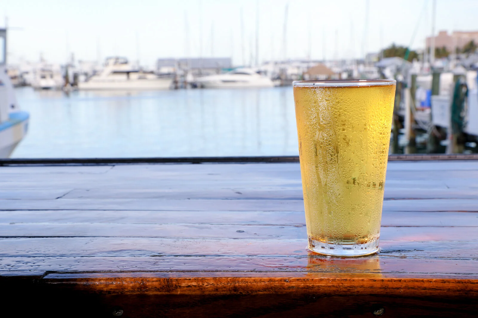 Conch-Republic-Seafood-Company_Drinks-45.jpg