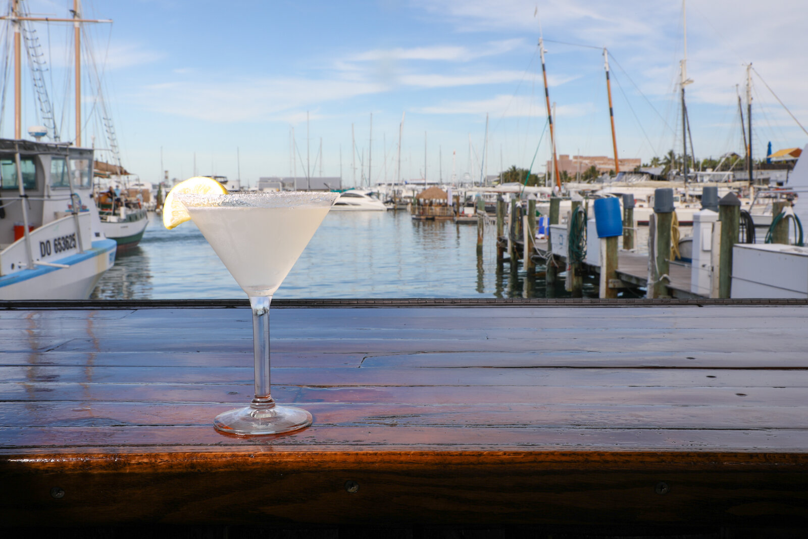 Conch-Republic-Seafood-Company_Drinks-40.jpg