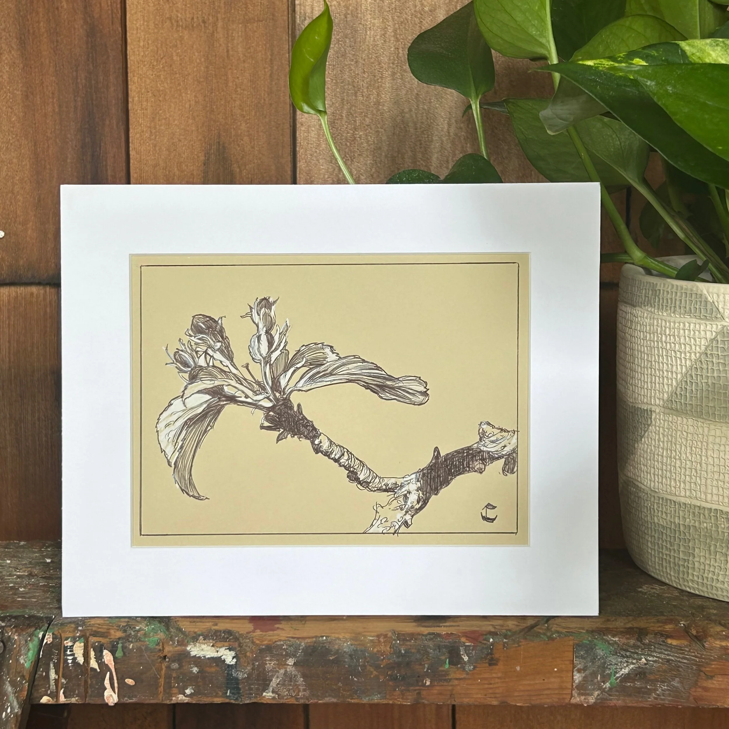 58BC6DB4-0F82-4408-80AE-71AD04C4CB9F