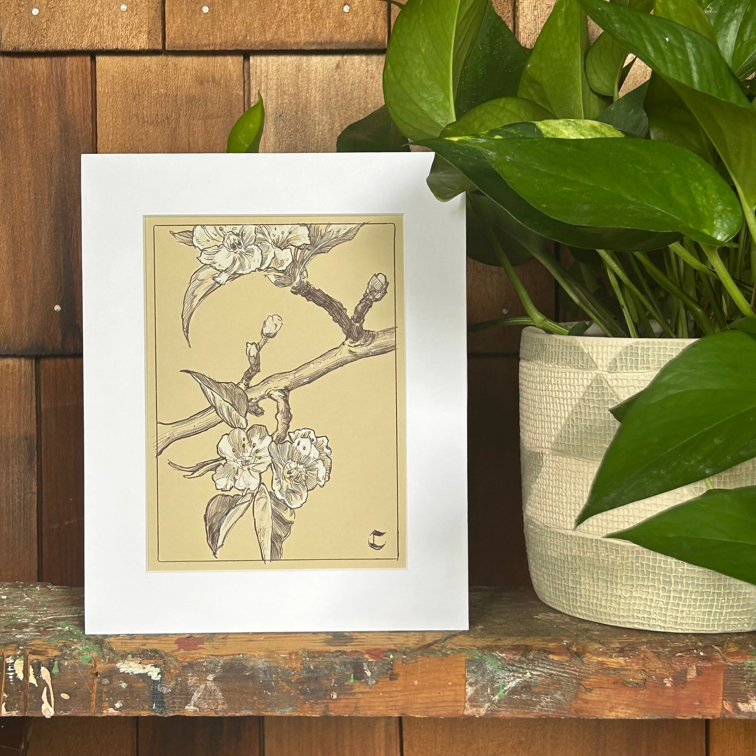 817167E6-D7C0-4DCC-B7F4-5C1B68DFF2F7