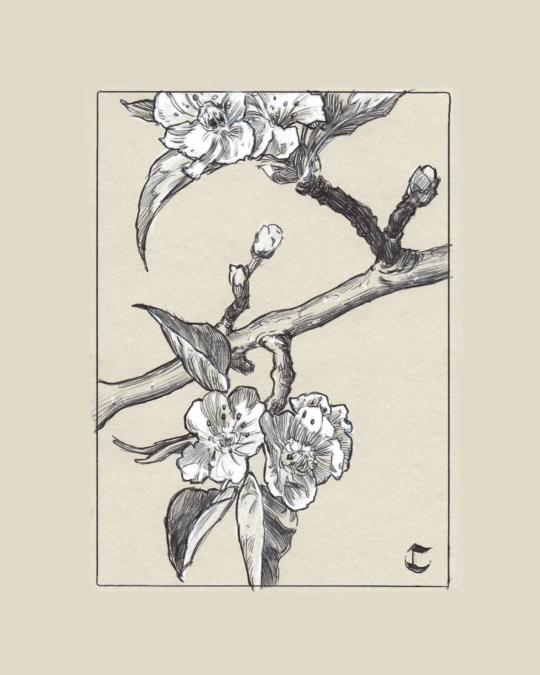 EEEDAE0E-B39F-4E30-A4A3-B6765BDA9C18