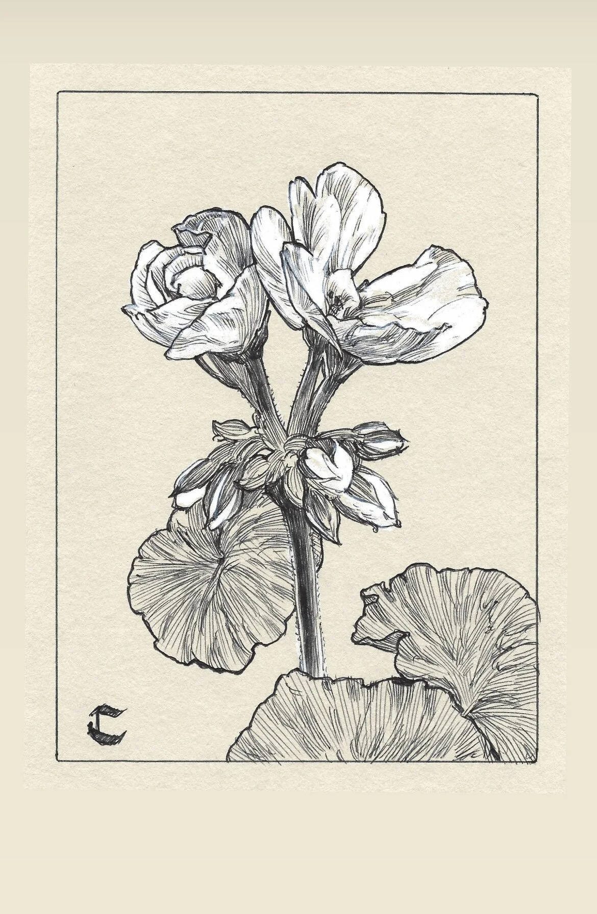 6975DEC5-A466-45F5-9321-F2B68D8DD380