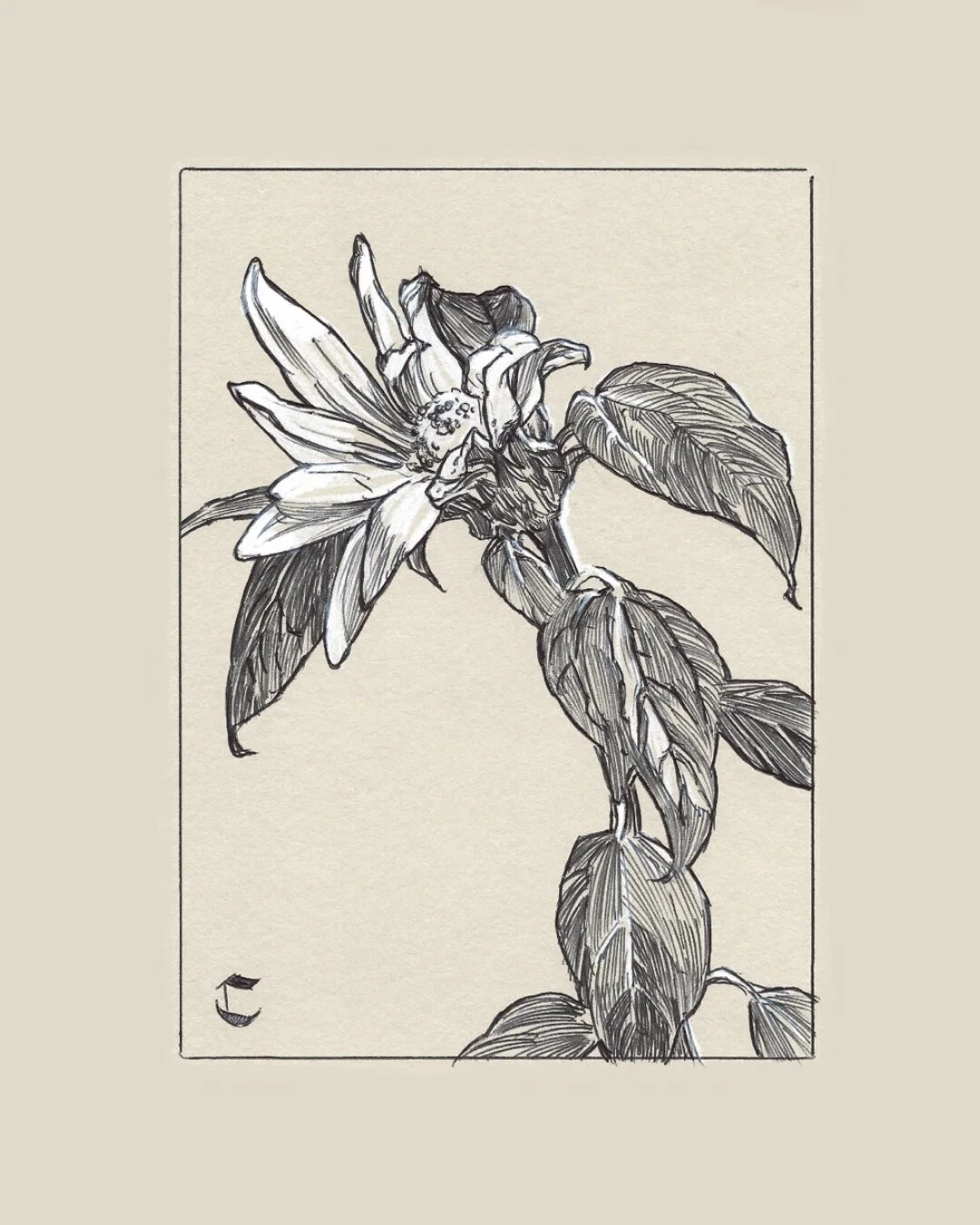 E6F0C4D8-5C79-4A54-8899-943DD2B5F918