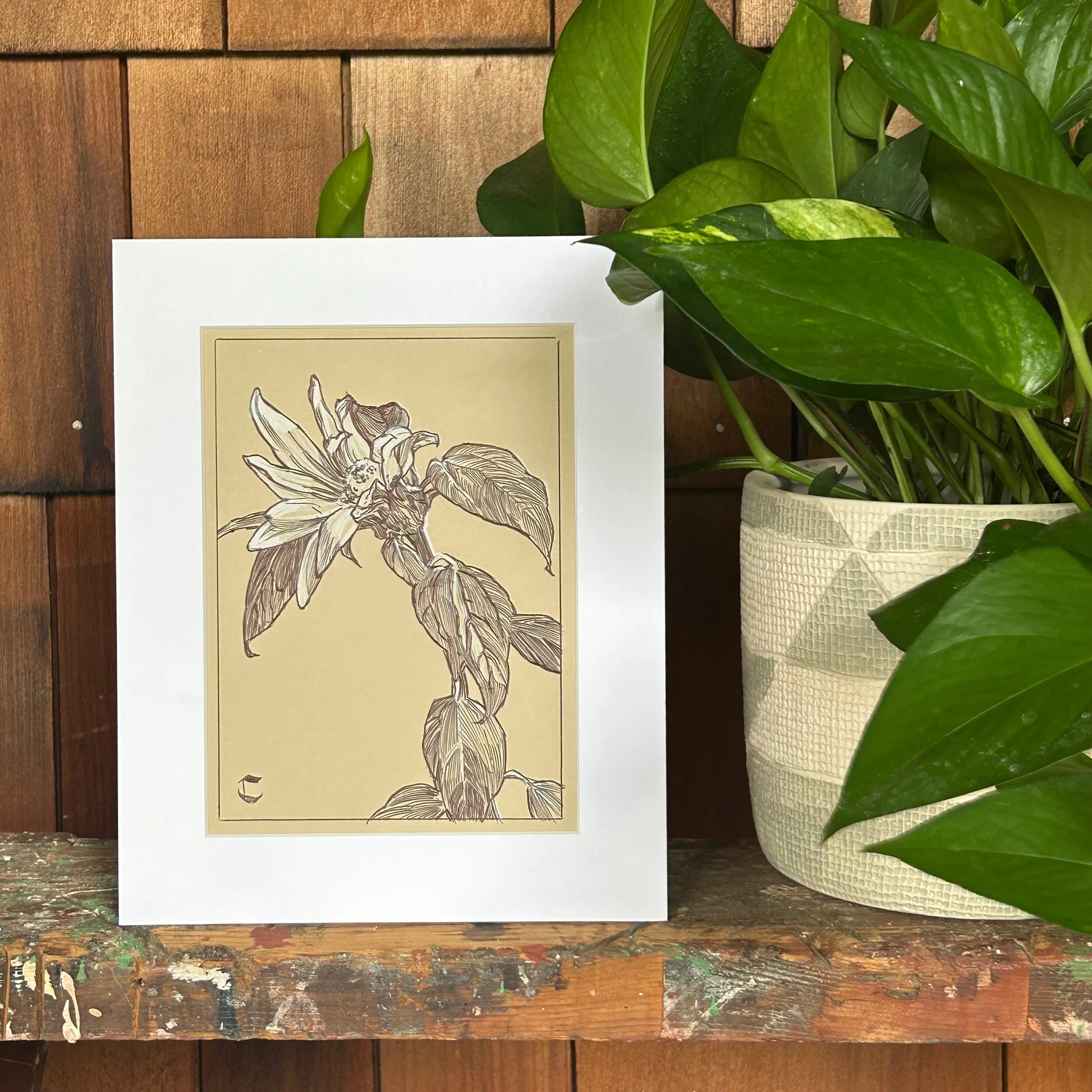 0807C6DE-9D62-4BED-833D-E687233A66F2