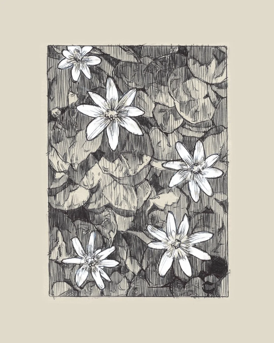 B2B42D43-B752-40E8-9859-6B927155ADD6