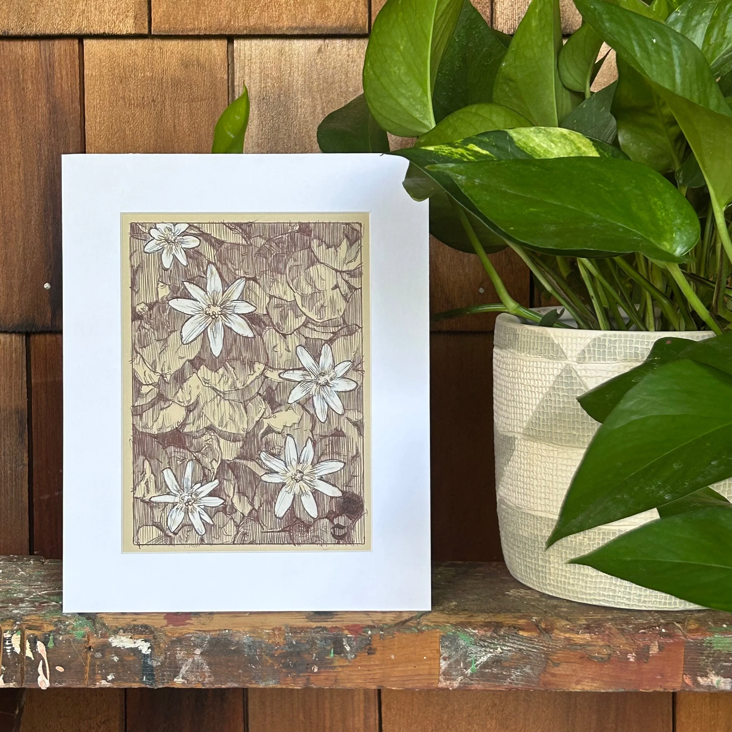 67FCFB51-73BD-4CC9-842B-95CB22364320