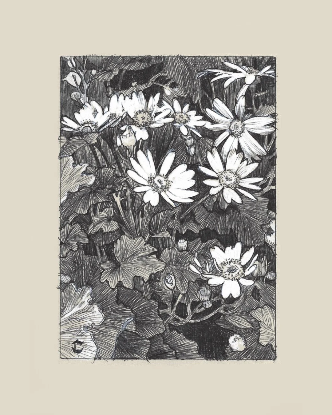 B09DE717-1D77-4D96-87BE-928B29430A56