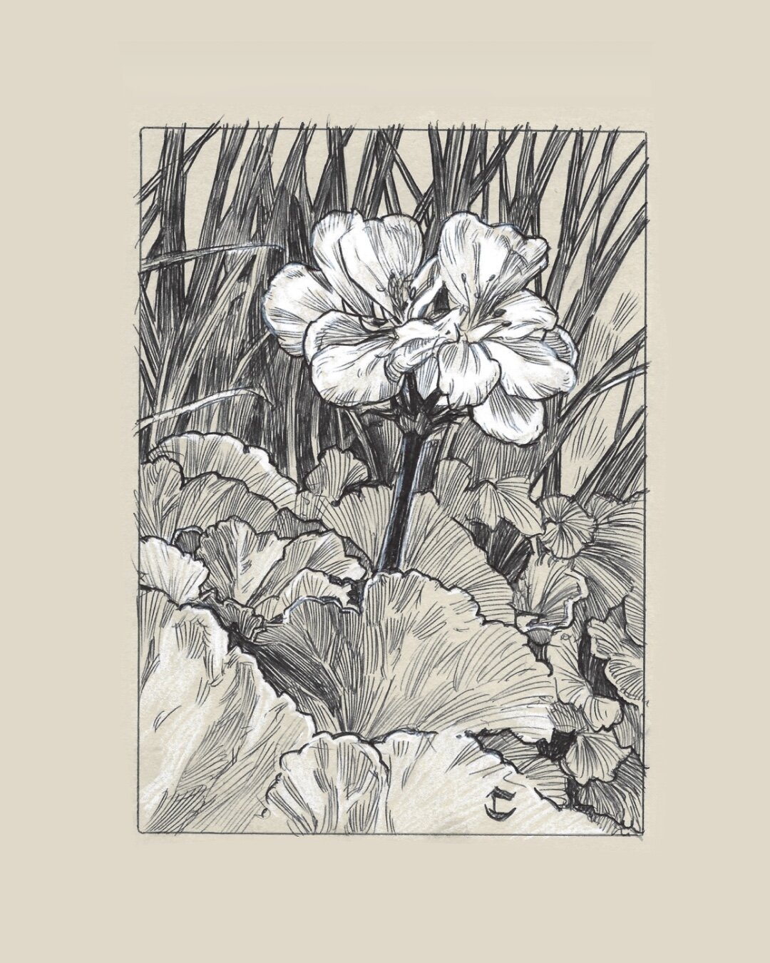 4E2455AC-203E-4027-B036-D5EE8BB6FCCB