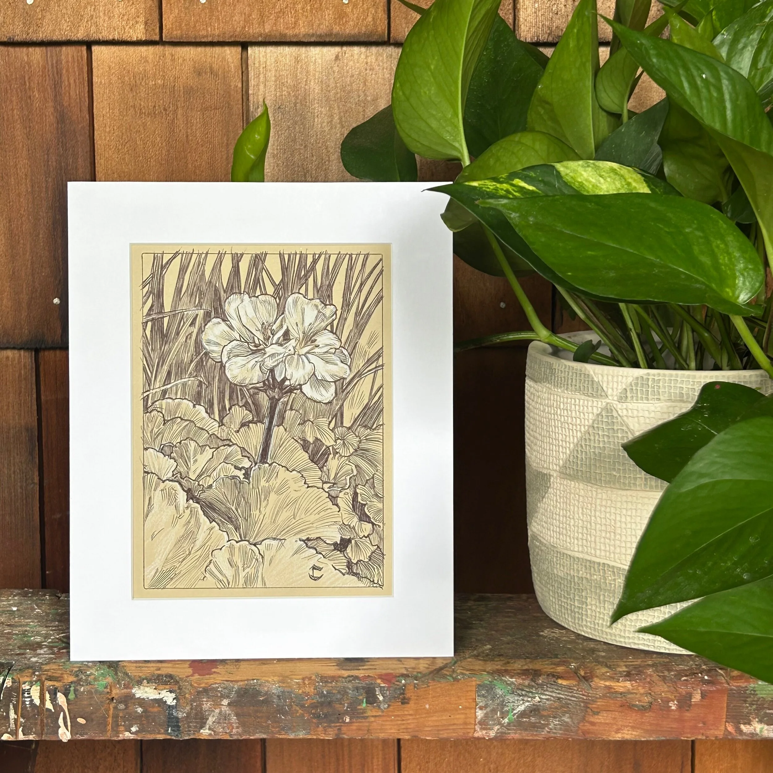 3E63C86A-F8D0-4B0B-9748-CF6200FD8102