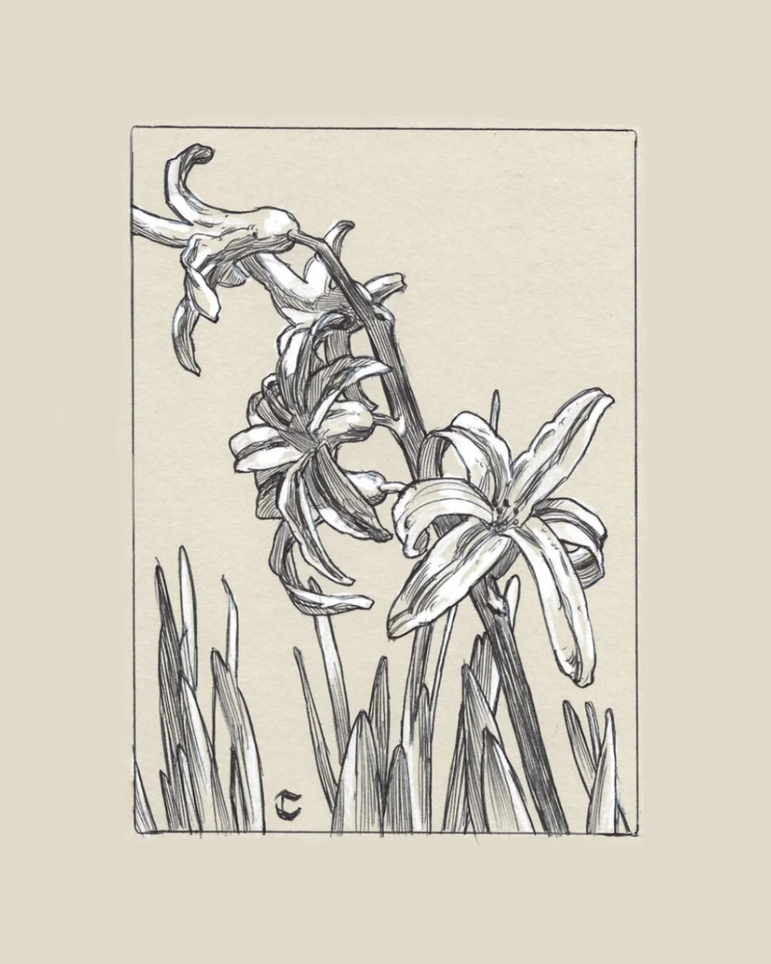 BDCC3DE5-C295-4C66-A360-5F68894634B8