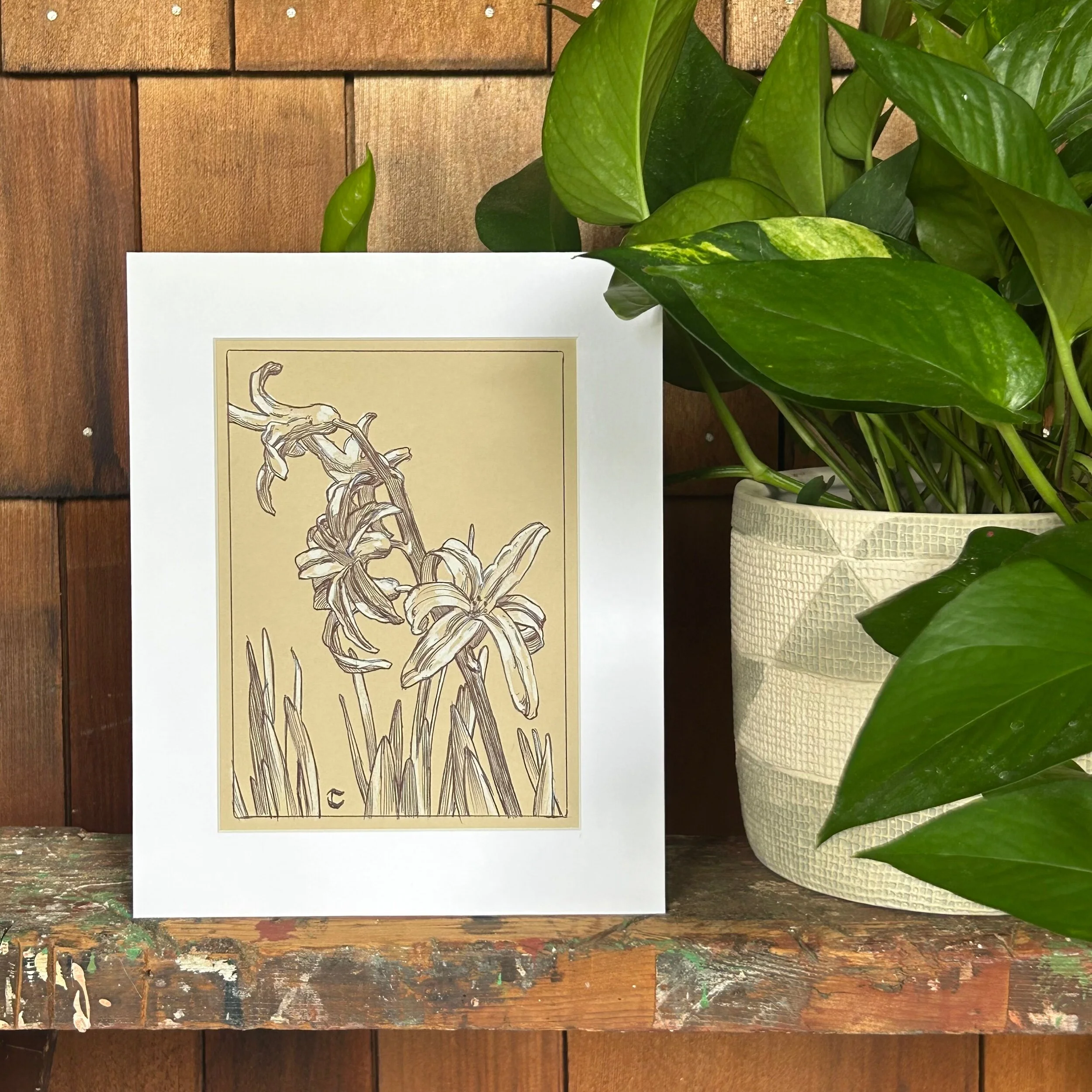 3CD4E94F-8FBE-4830-B0C2-C830D1B61E6D