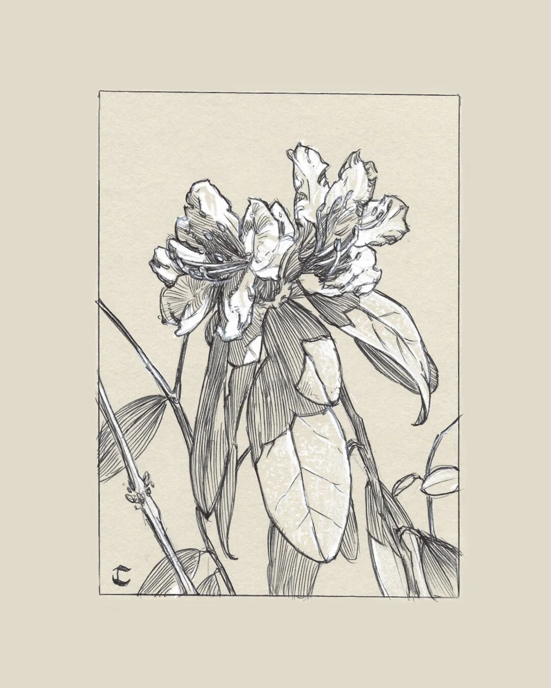 E9BBEB0E-BA7C-41D2-AF66-594B359DD2C3