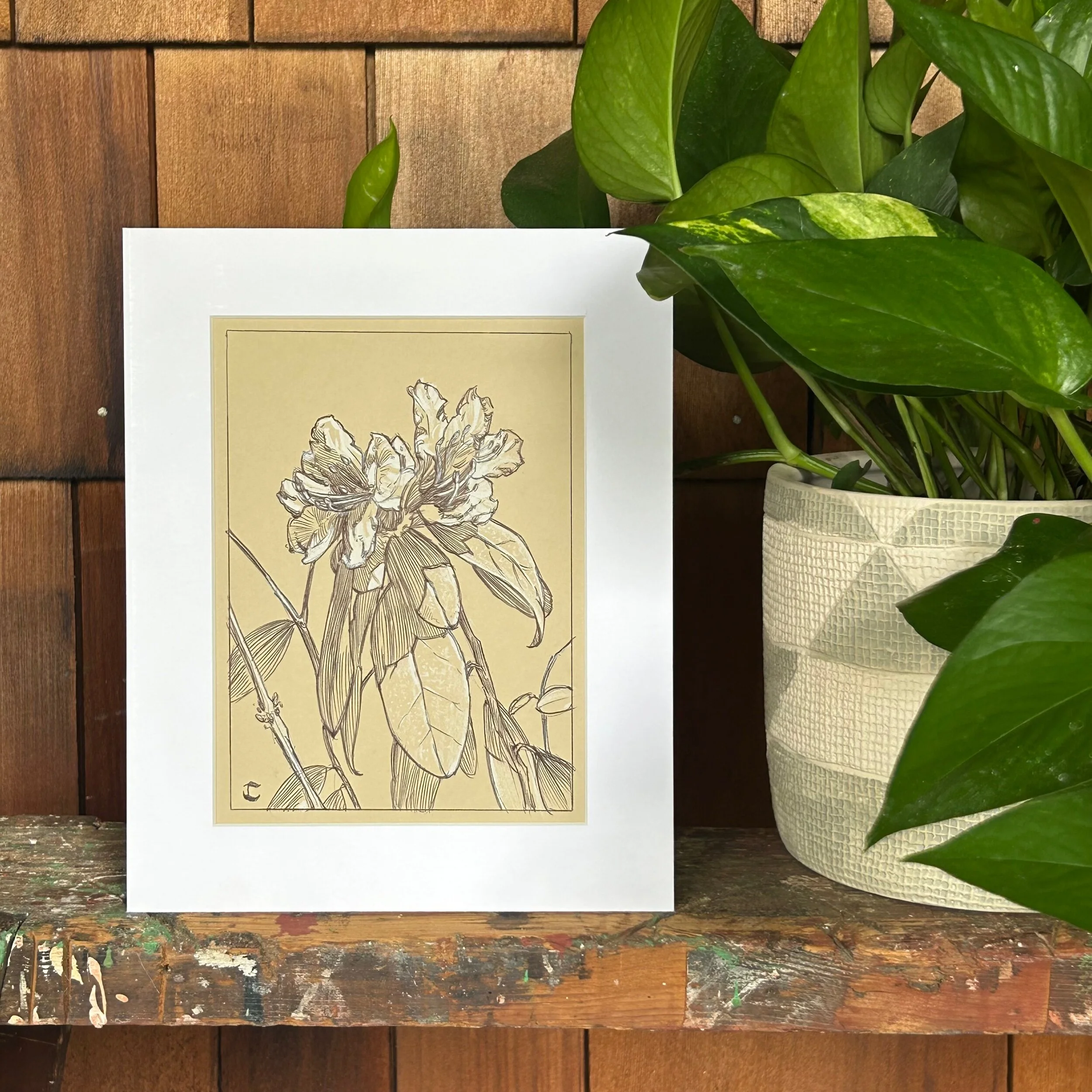 46BBD7EC-07F7-4A2C-8B49-3599D290B067