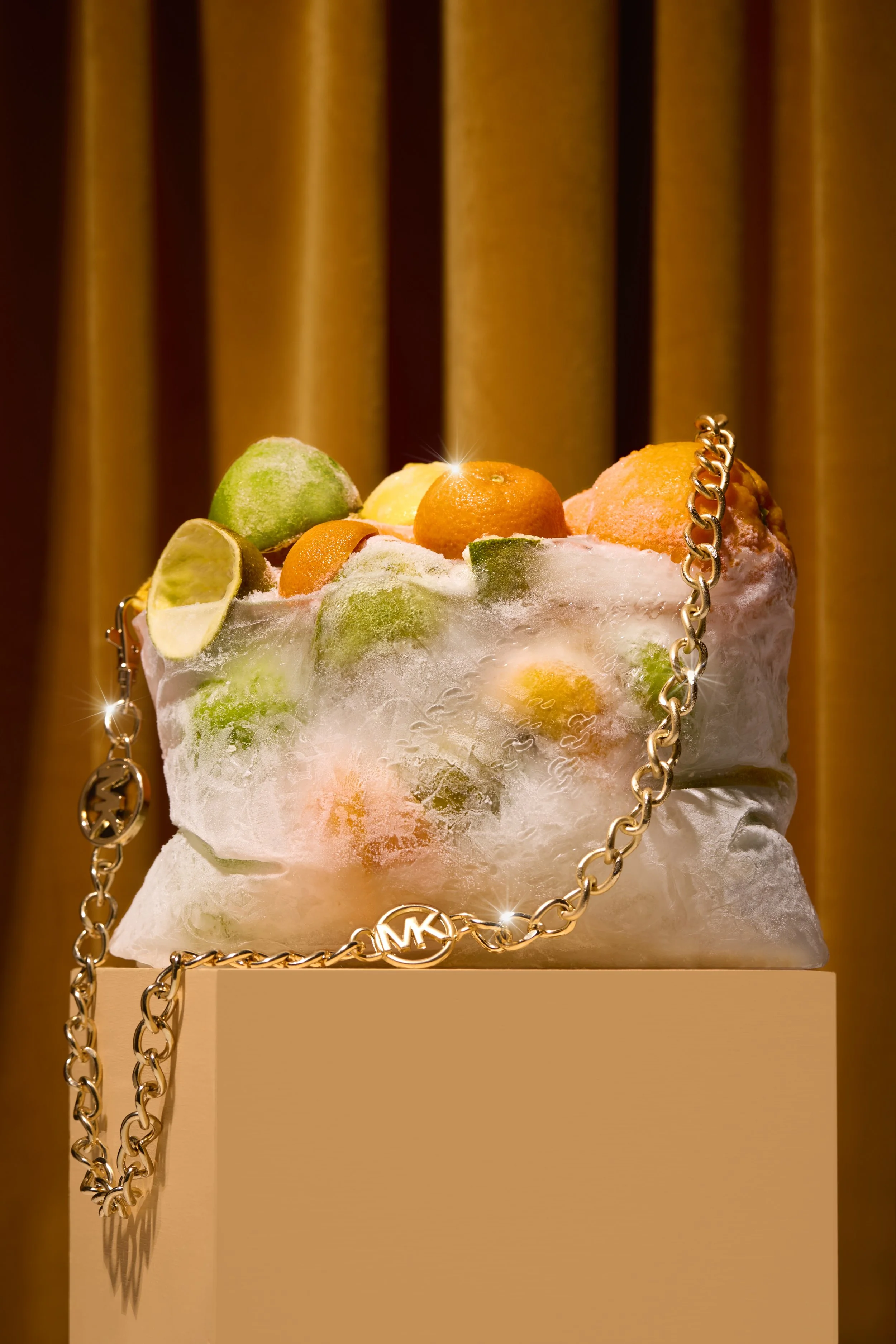 Frozen food purse fashion accessory concept shoot