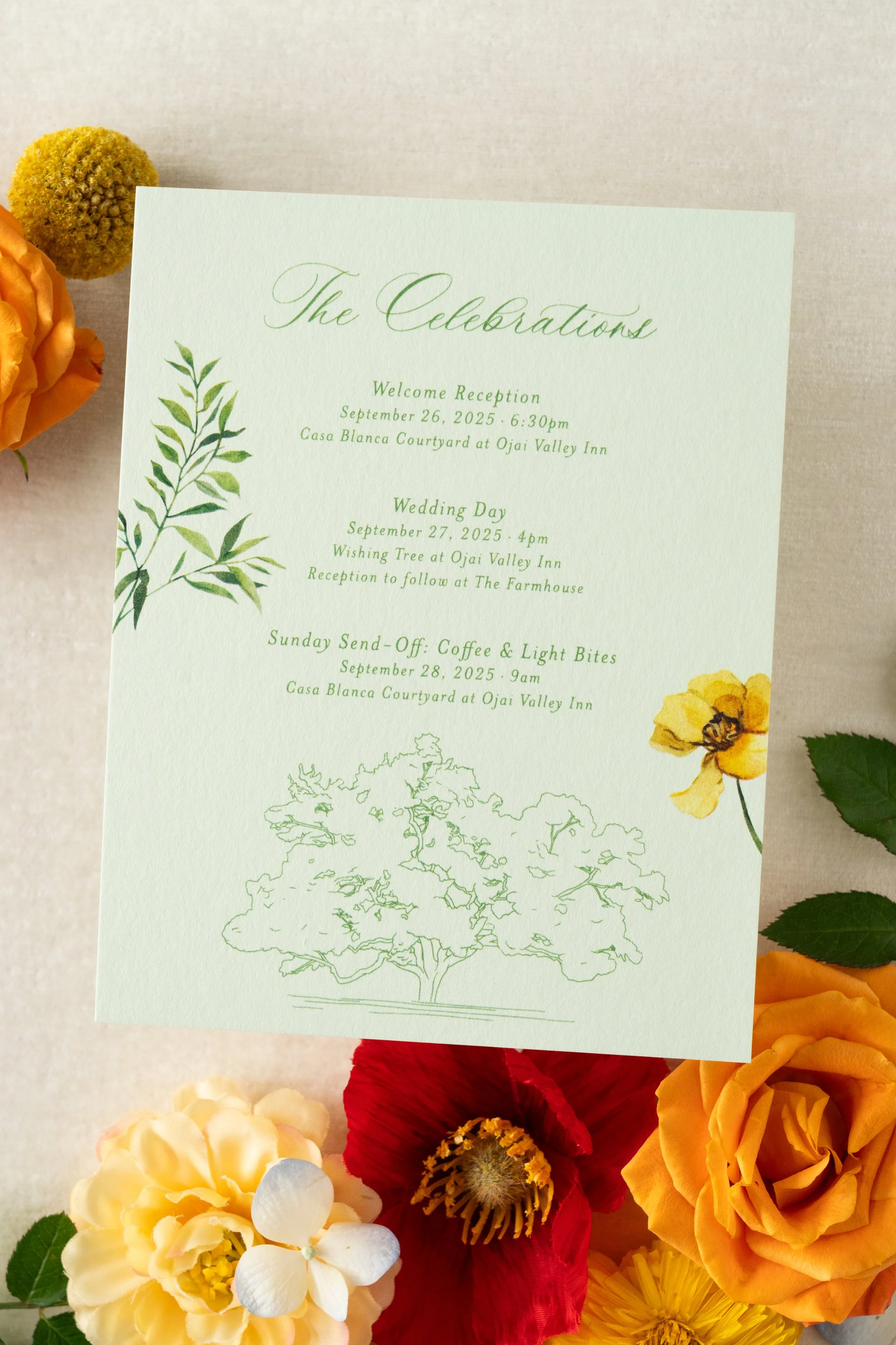 pastel green wedding invitations with custom botanical illustration