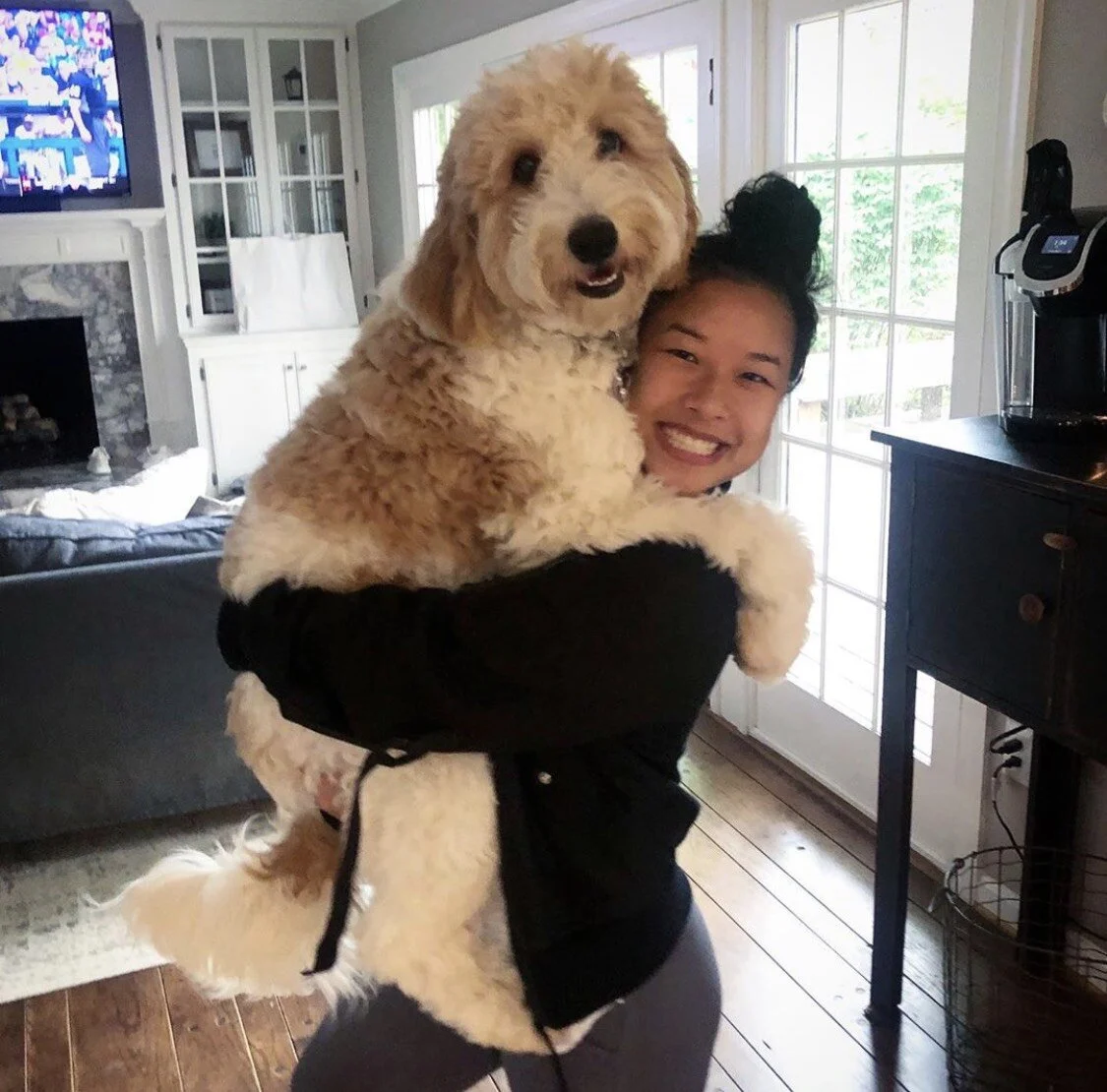 A woman is smiling as she holds a fluffy, curly-haired dog in her arms inside a bright, cozy living room with wooden floors and large windows.