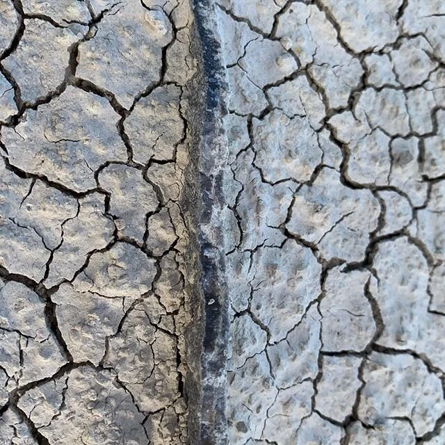 Sandstone with a line of agate