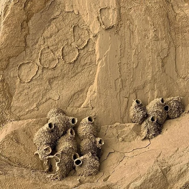 I loved finding these foundations today!