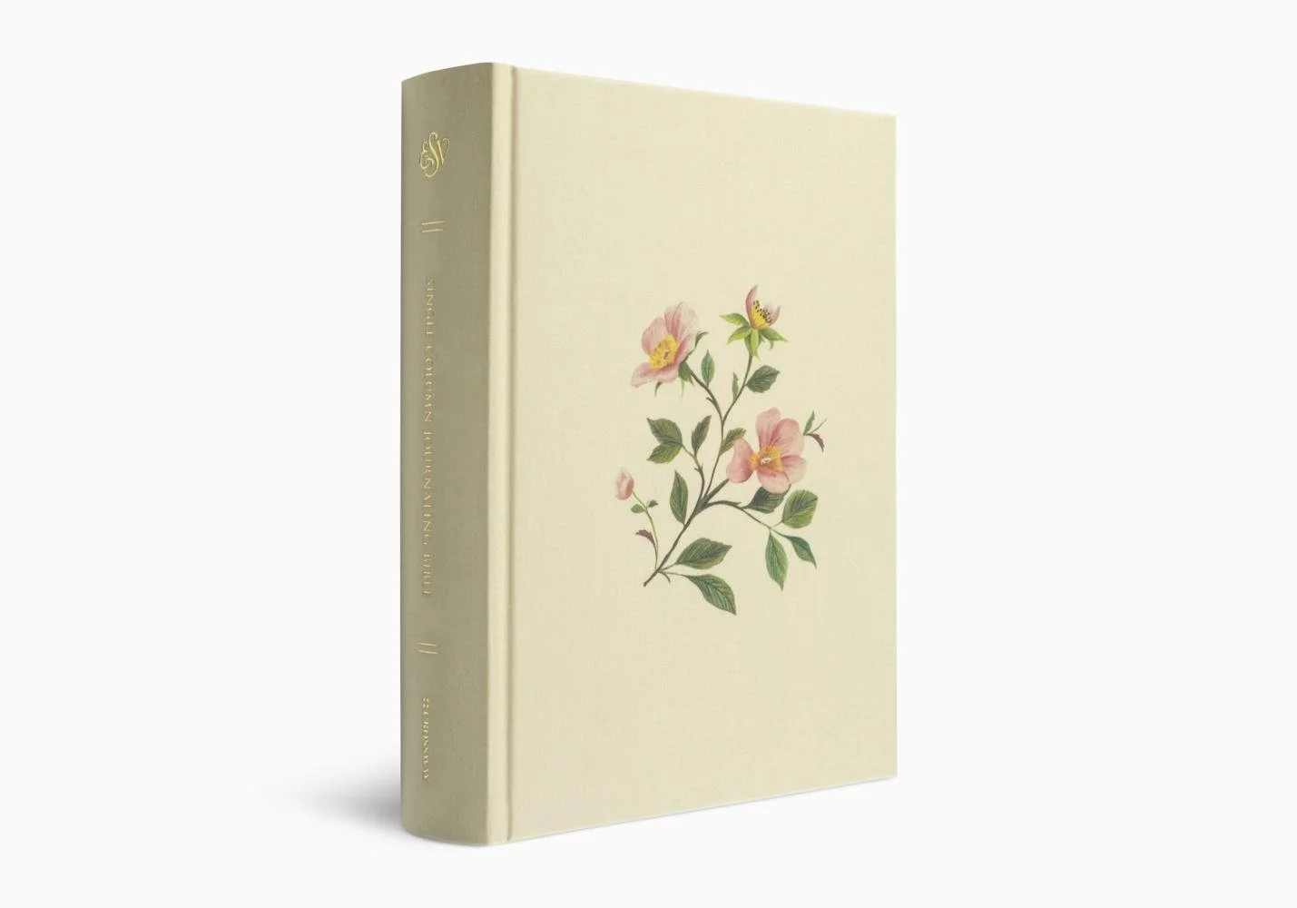 ESV Single Column Journaling Bible