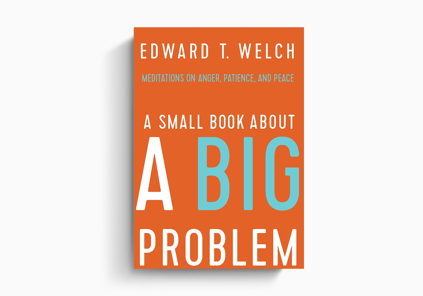 A Small Book About a Big Problem