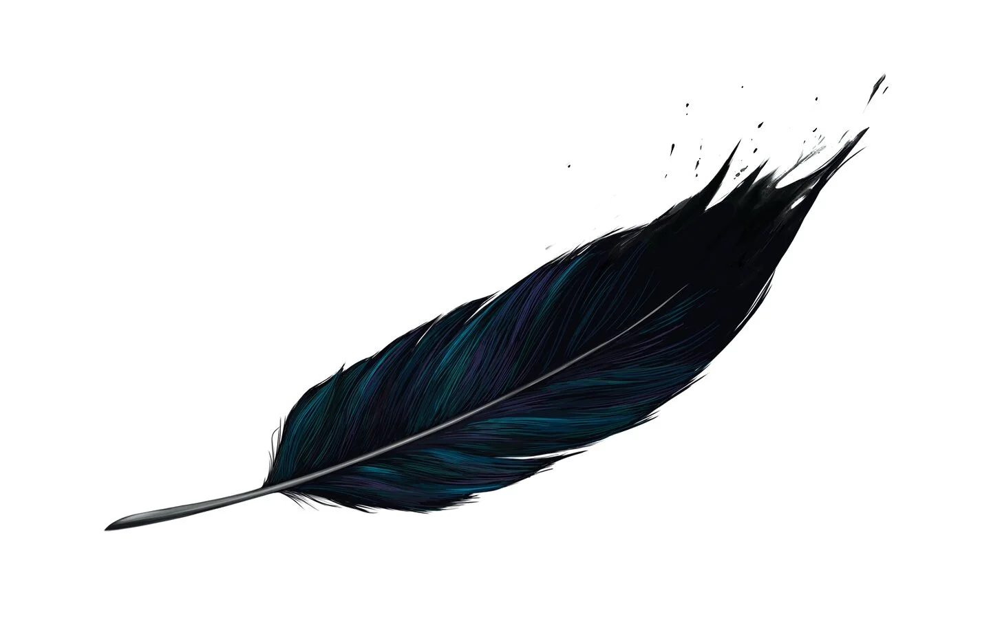 FFD - Blackbird Feather.jpg