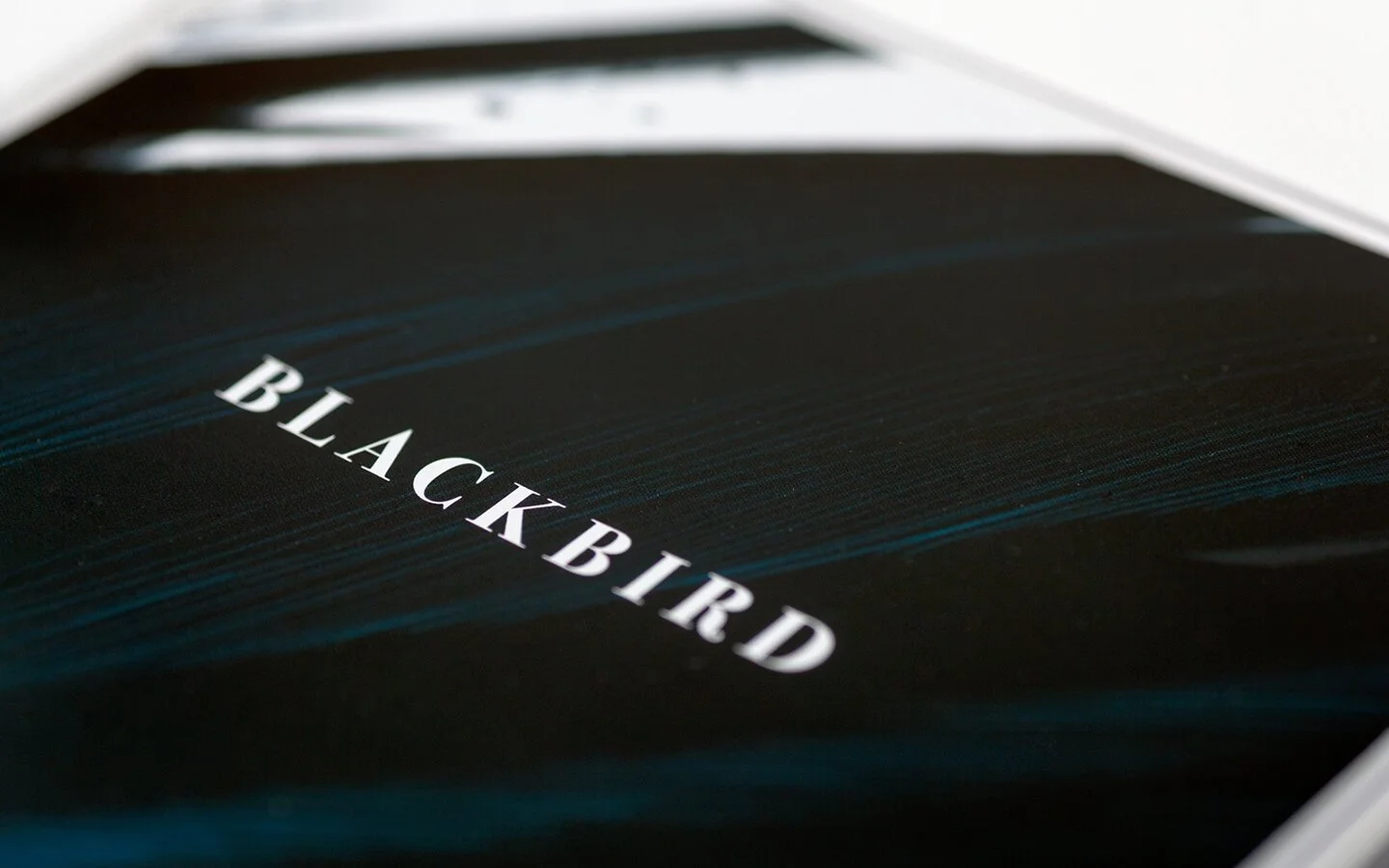 FFD - Blackbird Closeup.jpg