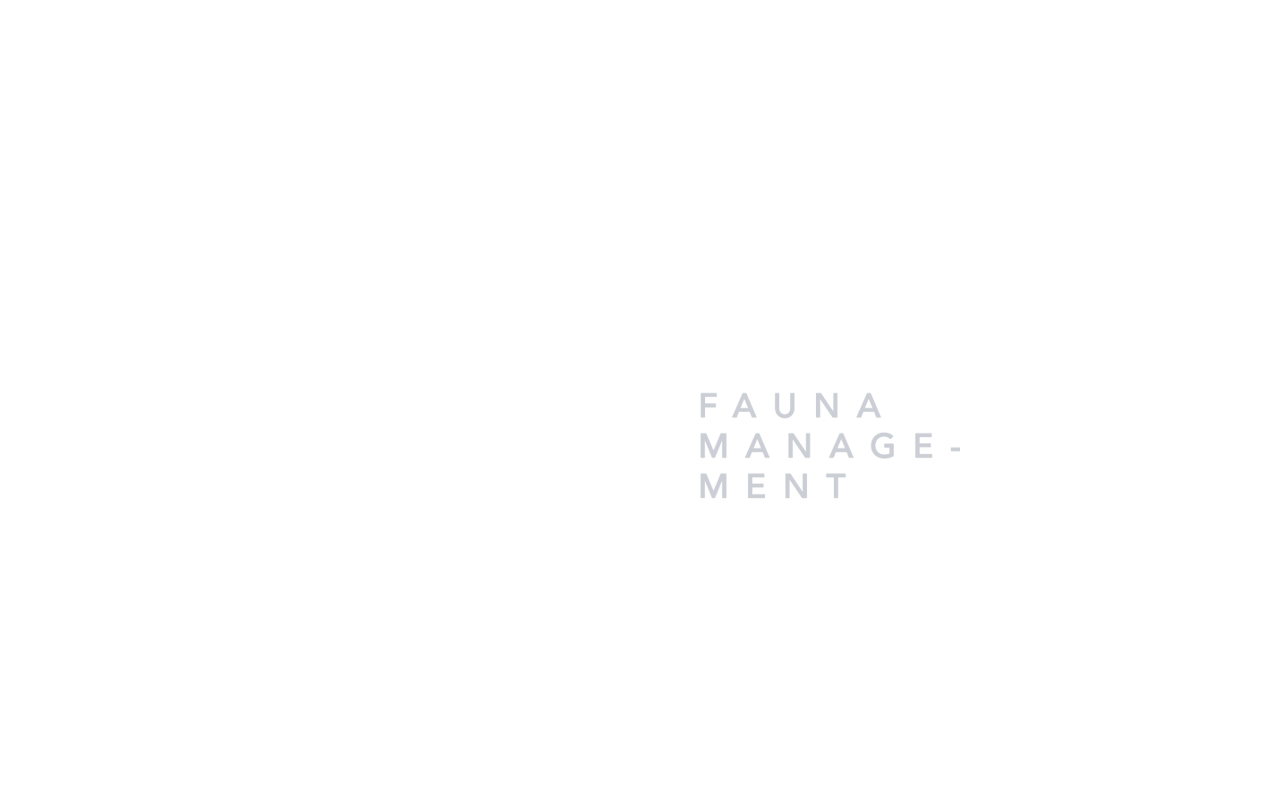Logos_FlyingFox.png