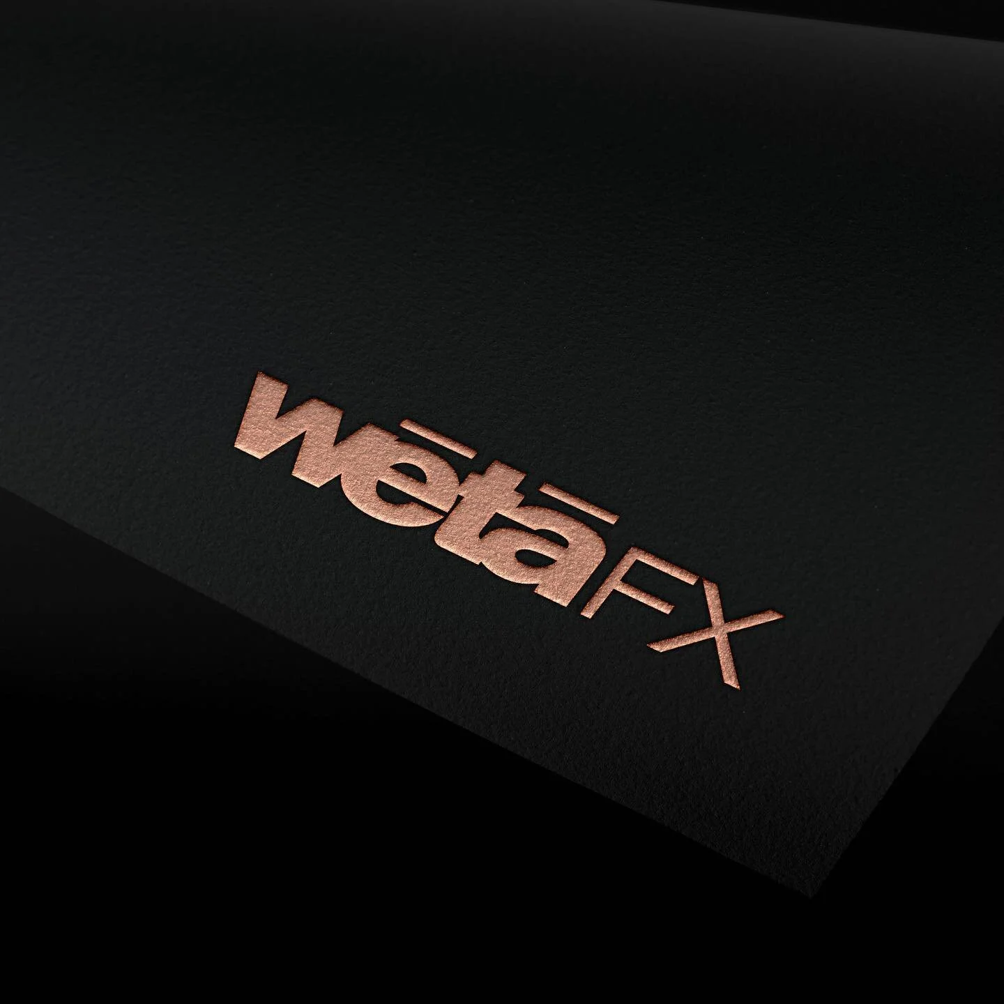 Wētā FX is renowned for its creative and groundbreaking visual effects and animation in the digital industry. The team consists of ambitious artists and innovators who consistently deliver world-class, award-winning work. 

Since 2015, we have had th