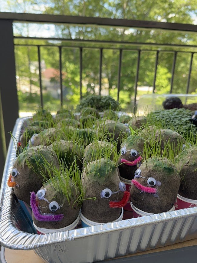 may - TAG grass heads.JPG