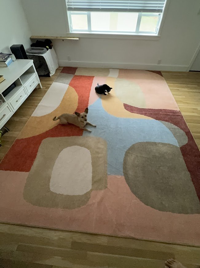 sept - new rug installed.JPG