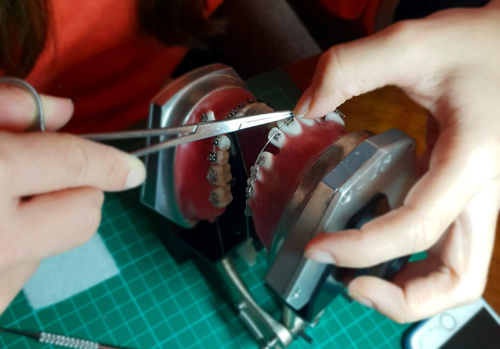 Cephtactics orthodontic practical session